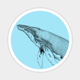 Humpback Whale Line Art Magnet